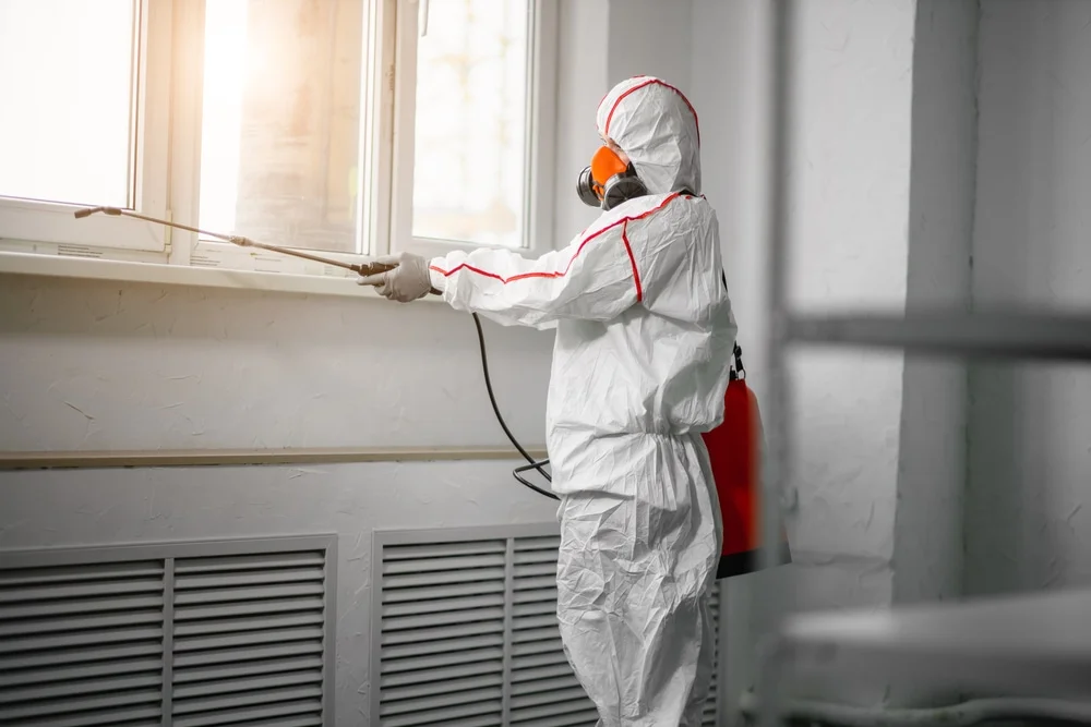 Professional mold remediation services in Exeter, RI